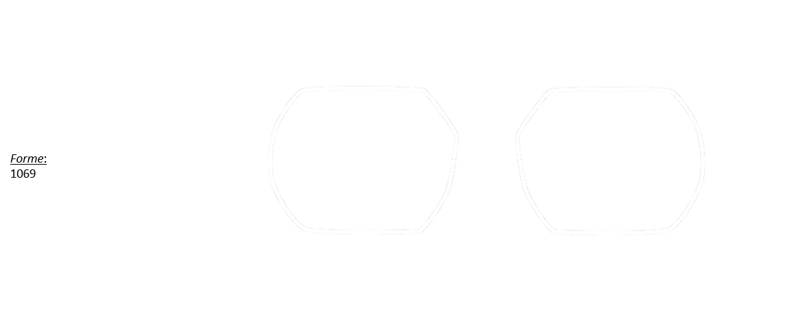1069